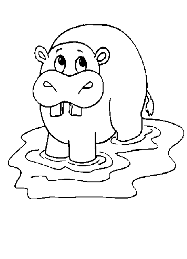 35 Happy Hippo Coloring Pages Printable 35