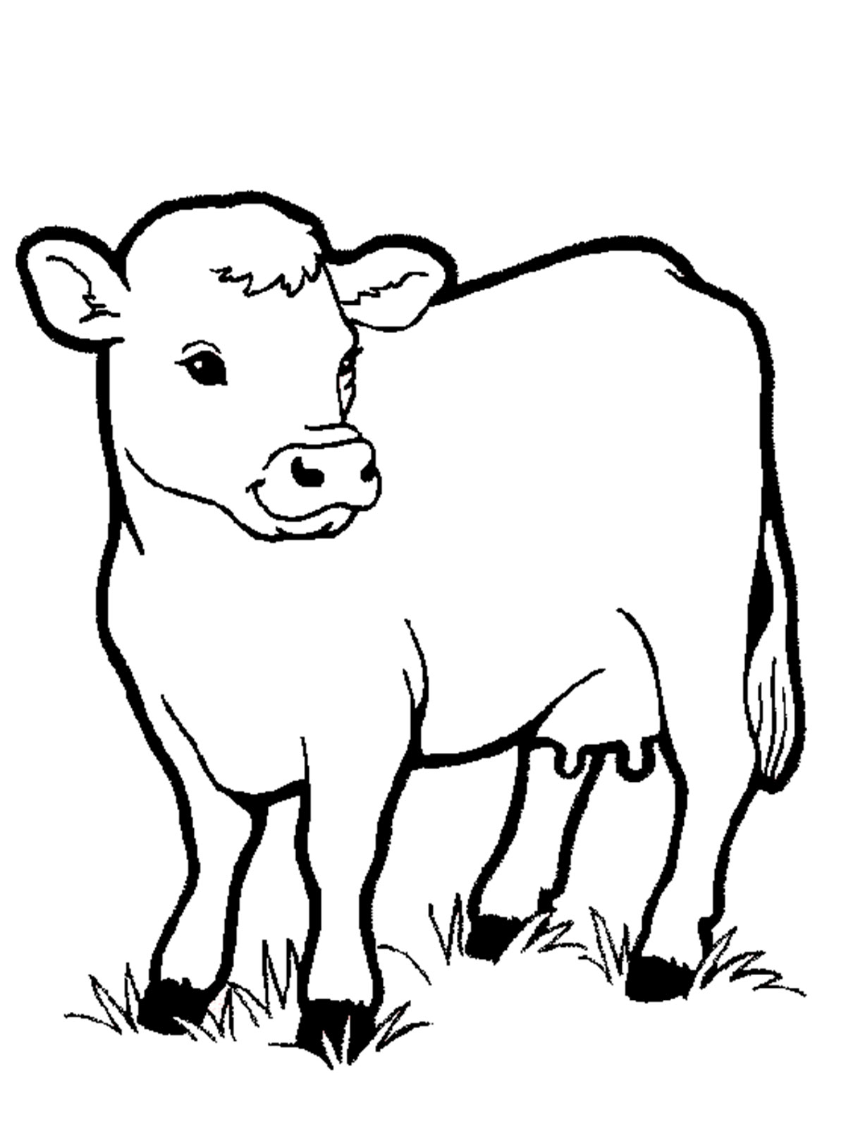 37 Moo-tiful Cow Coloring Pages Printable 9