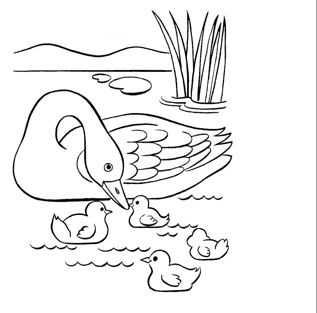 84 Duck Coloring Pages Printable 11