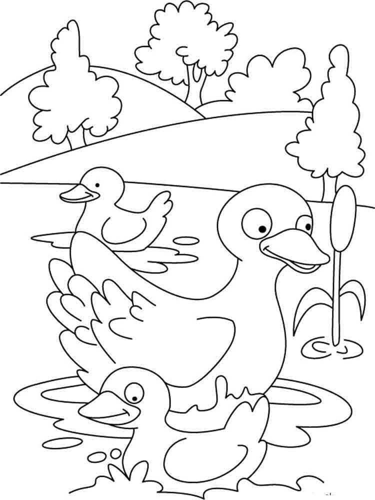 84 Duck Coloring Pages Printable 12