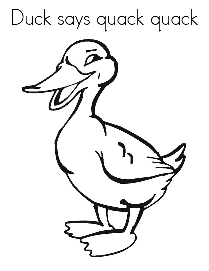 84 Duck Coloring Pages Printable 13