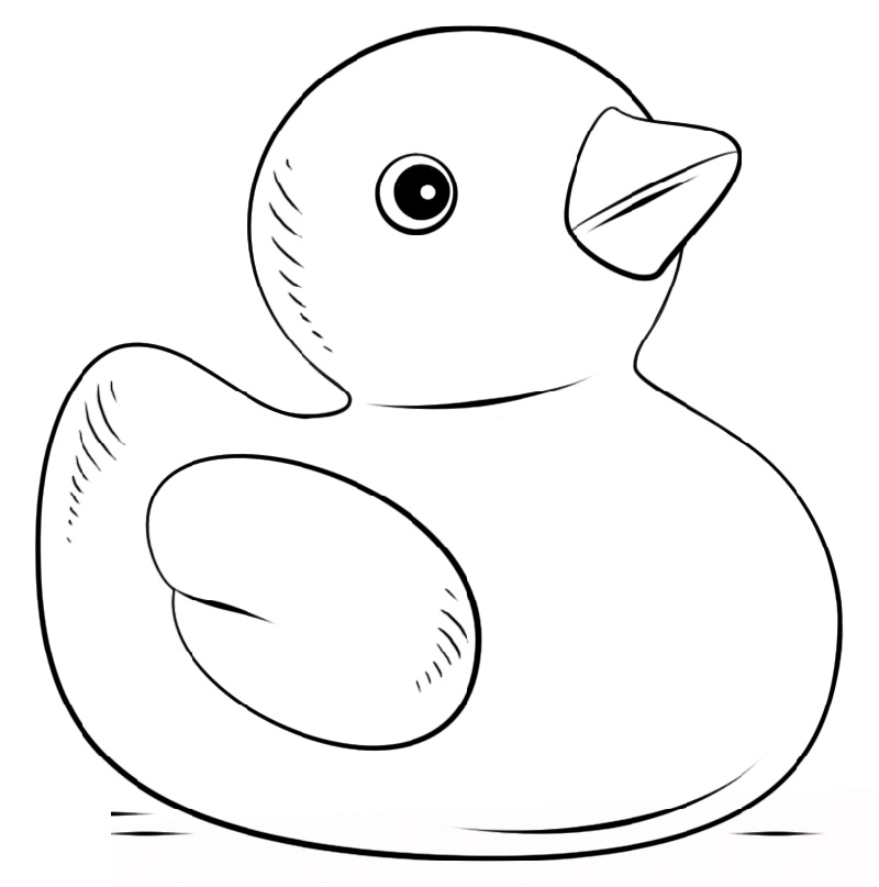 84 Duck Coloring Pages Printable 14