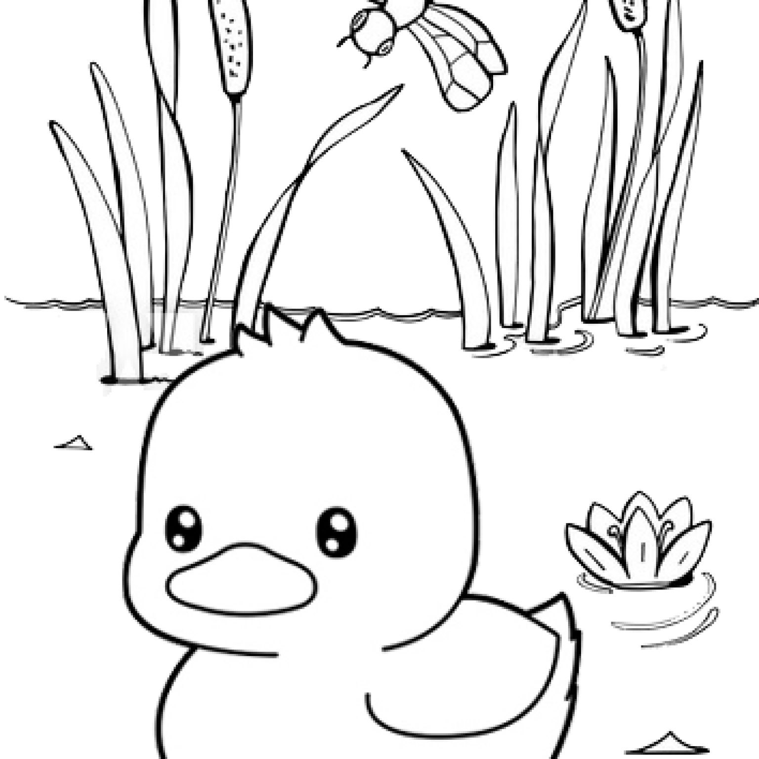 84 Duck Coloring Pages Printable 17