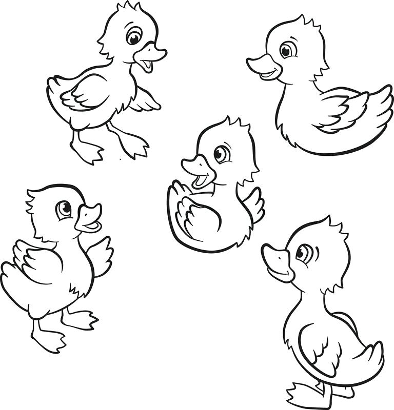 84 Duck Coloring Pages Printable 21