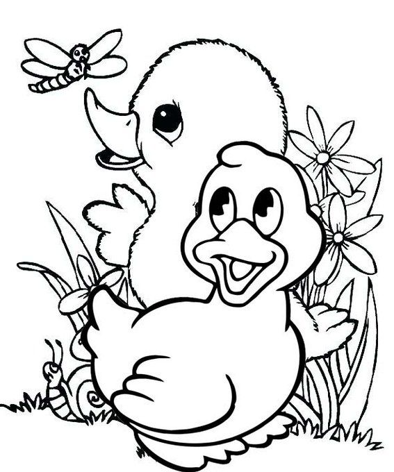 84 Duck Coloring Pages Printable 22