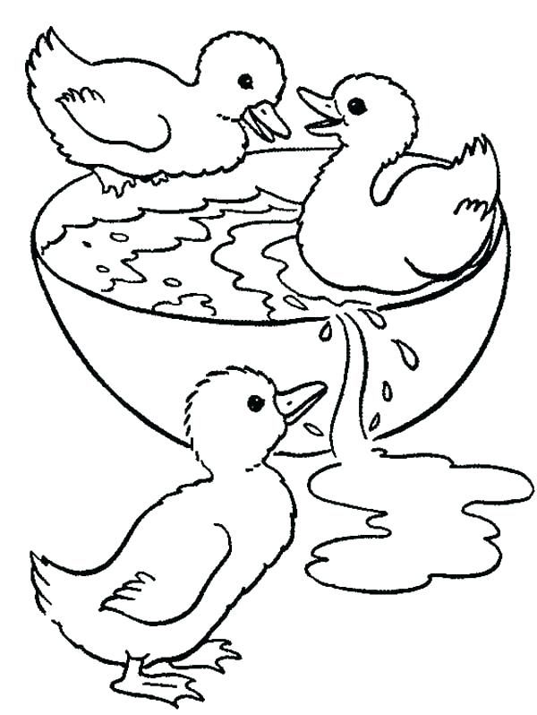 84 Duck Coloring Pages Printable 23