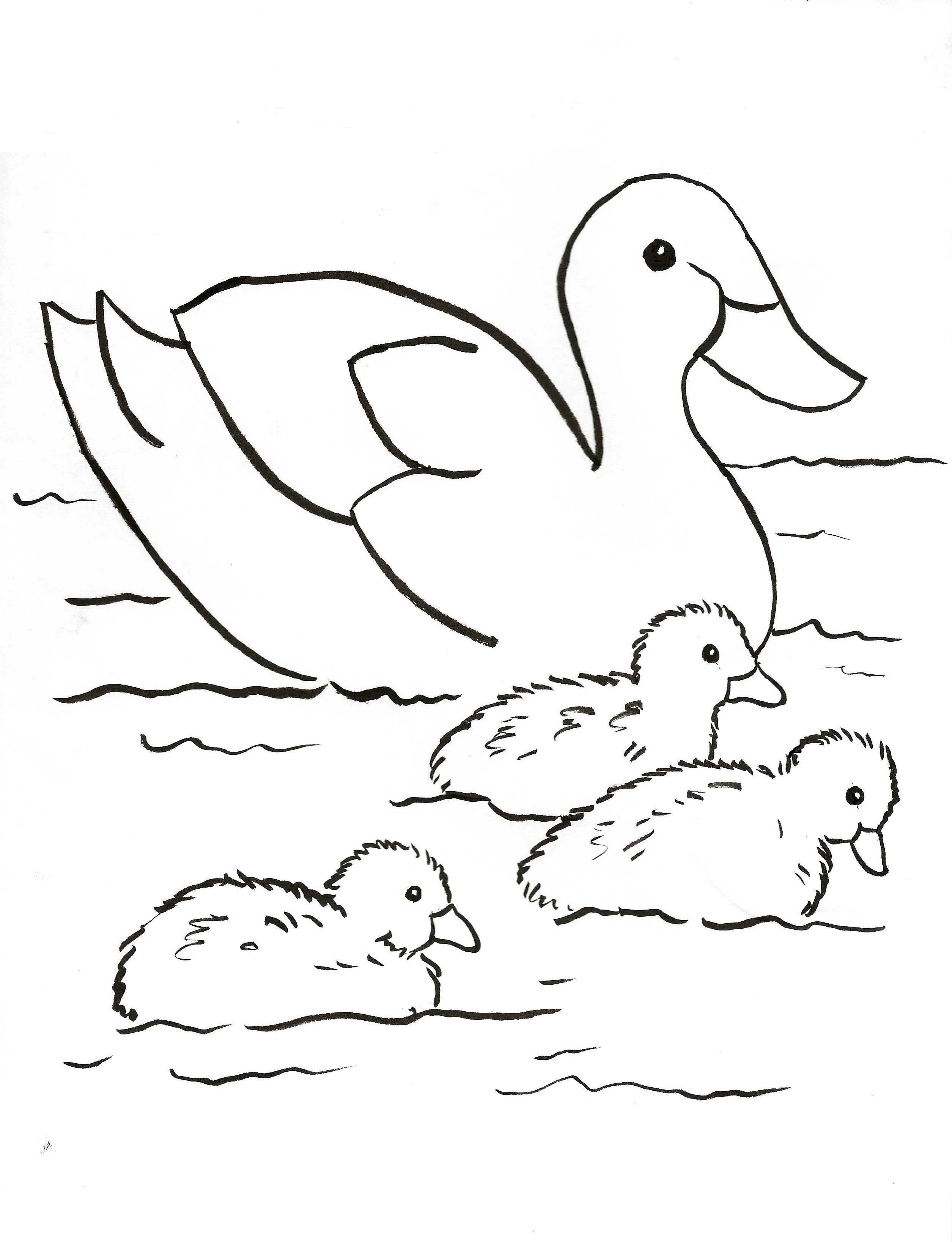 84 Duck Coloring Pages Printable 26