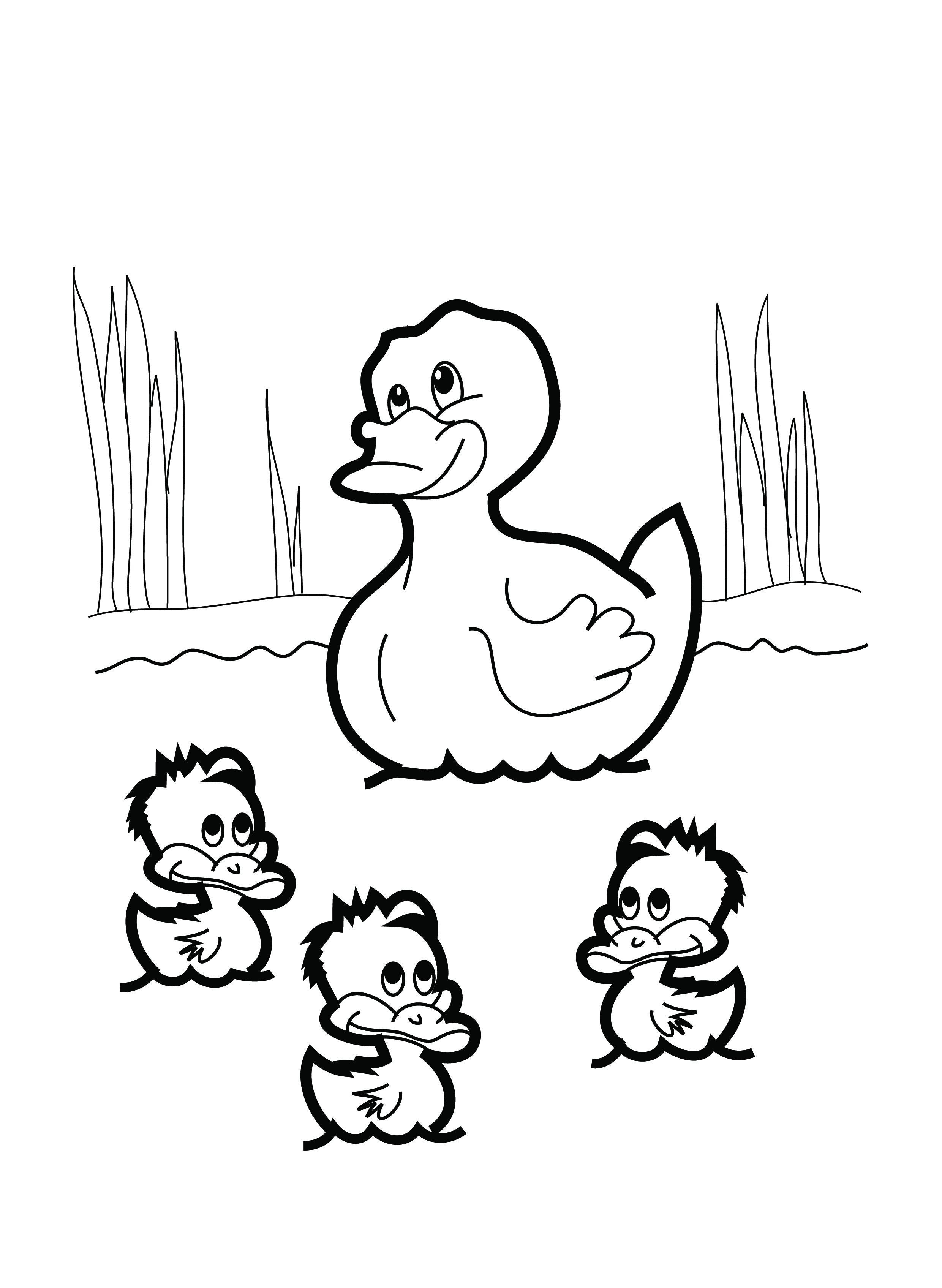 84 Duck Coloring Pages Printable 27