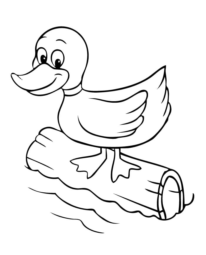 84 Duck Coloring Pages Printable 29