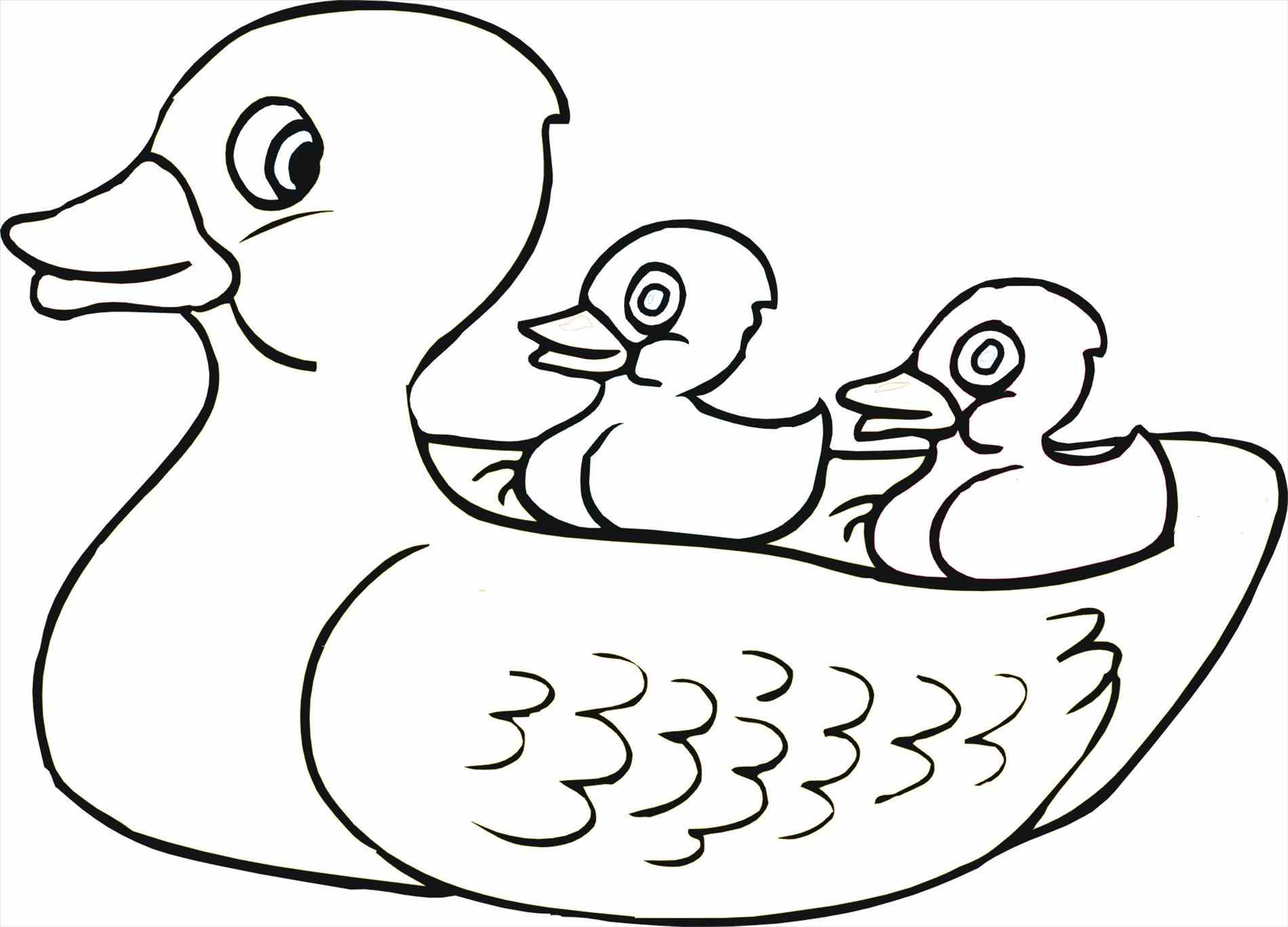 84 Duck Coloring Pages Printable 30