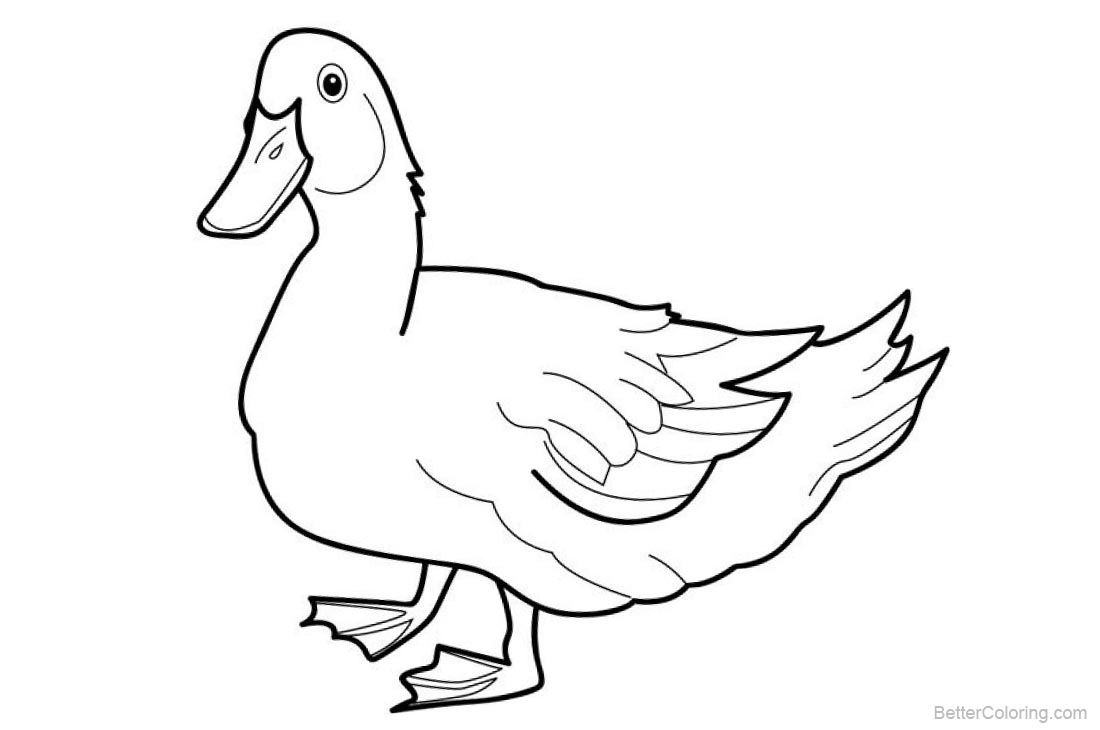 84 Duck Coloring Pages Printable 37