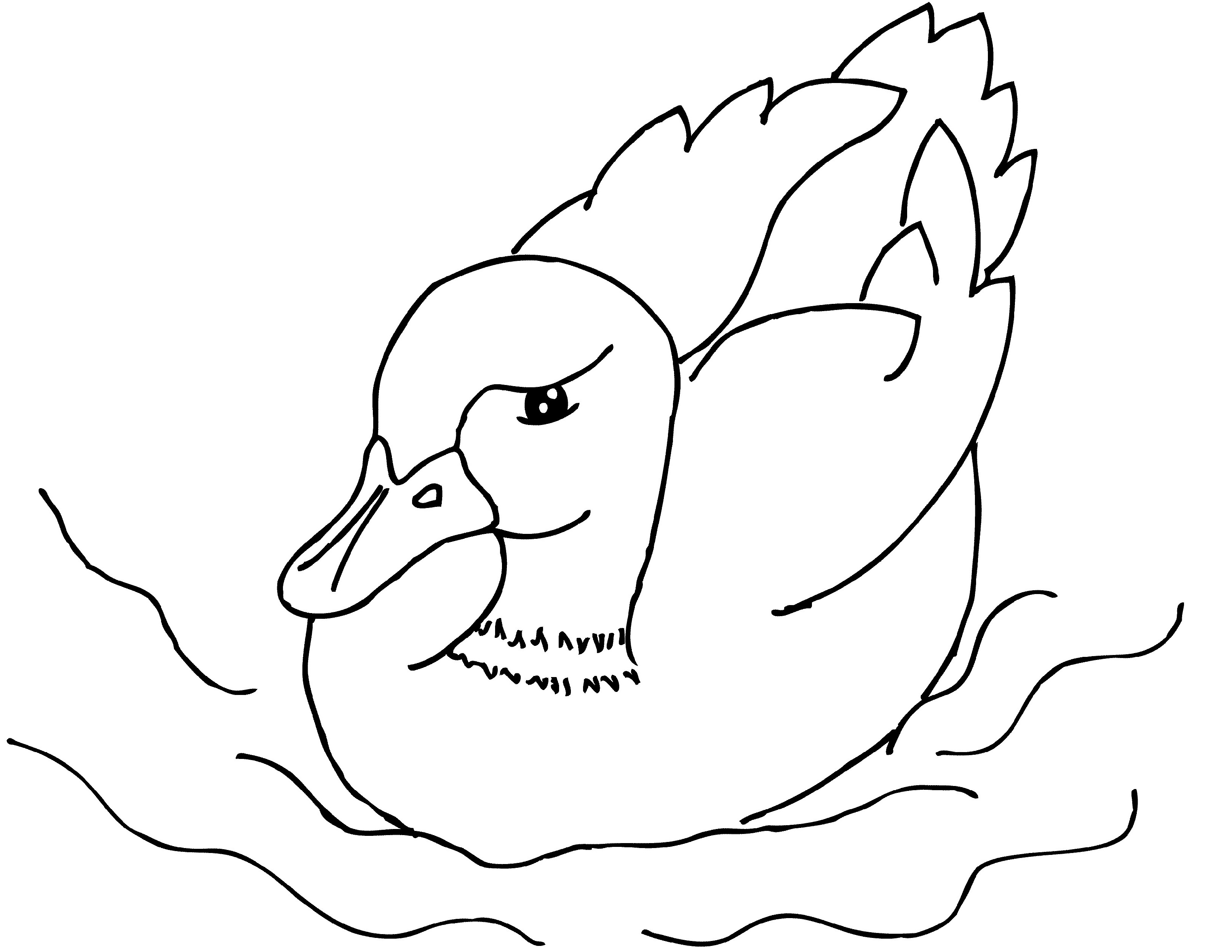 84 Duck Coloring Pages Printable 39