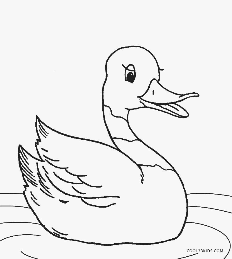 84 Duck Coloring Pages Printable 40