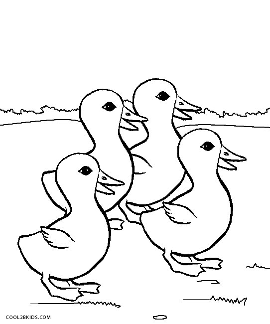 84 Duck Coloring Pages Printable 44