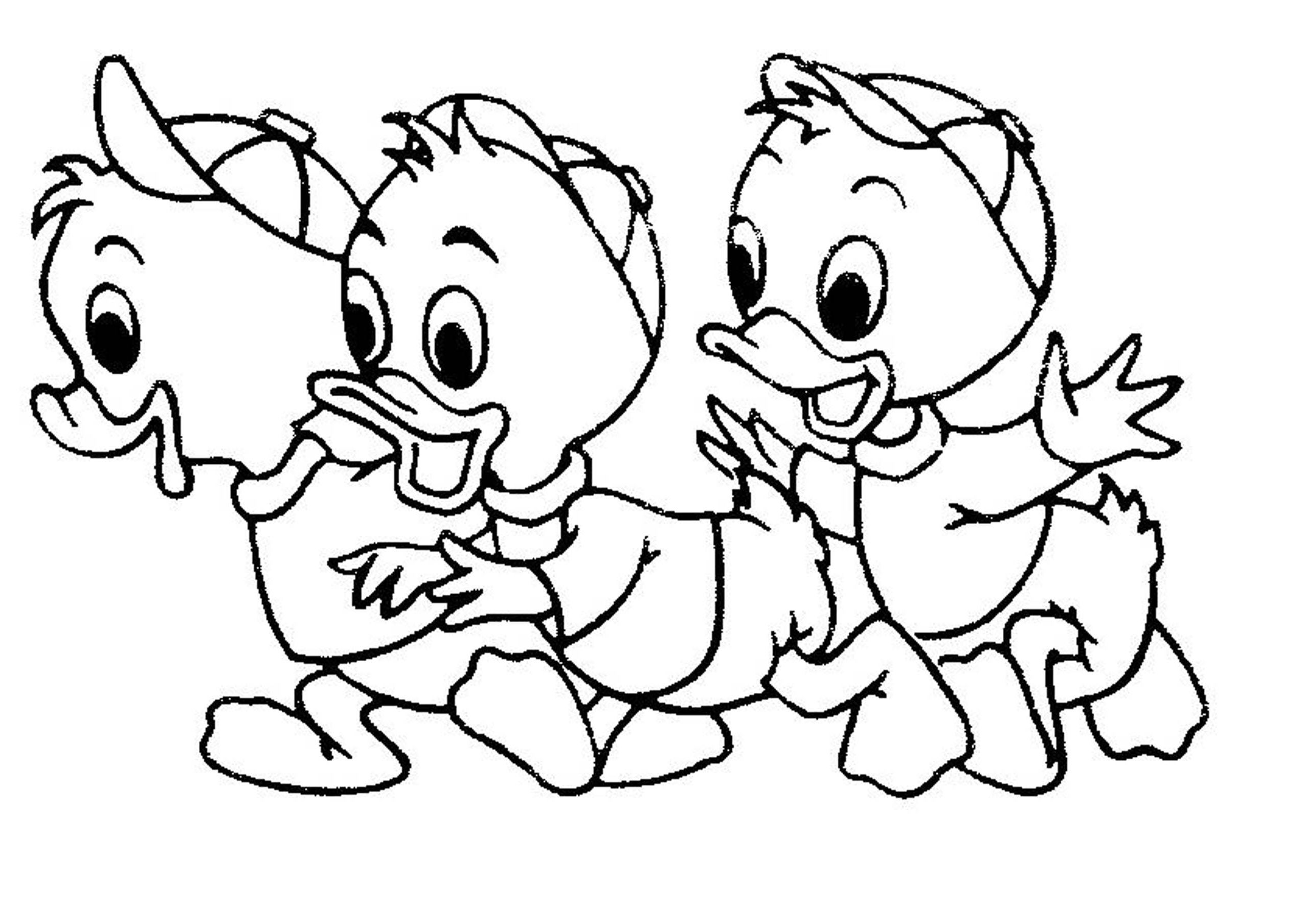 duck coloring pages printable jpg