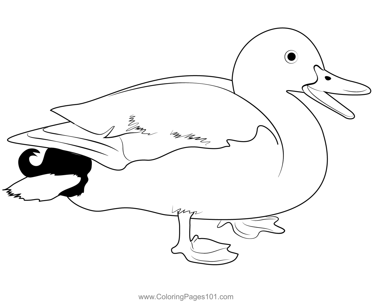 84 Duck Coloring Pages Printable 51