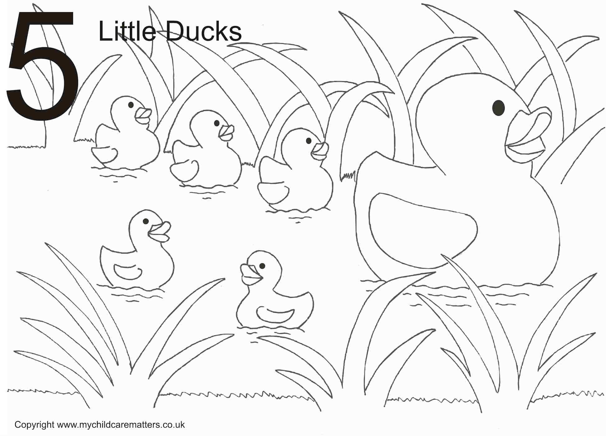 84 Duck Coloring Pages Printable 53