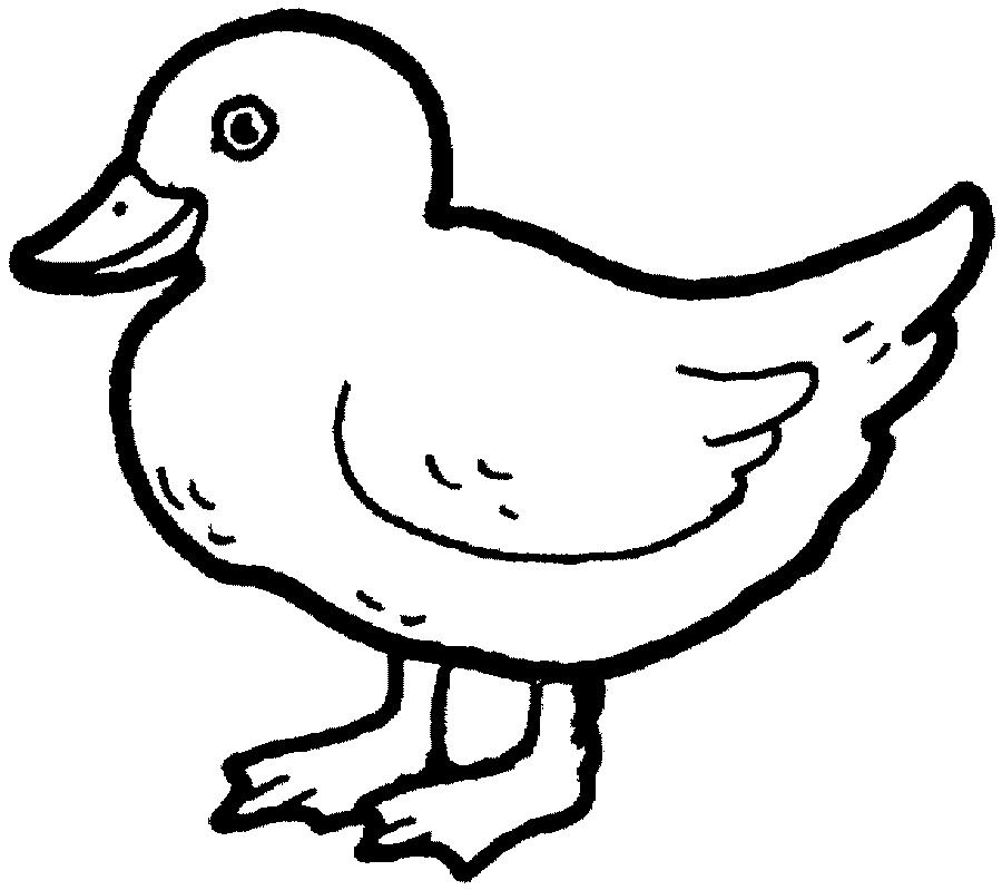 84 Duck Coloring Pages Printable 60