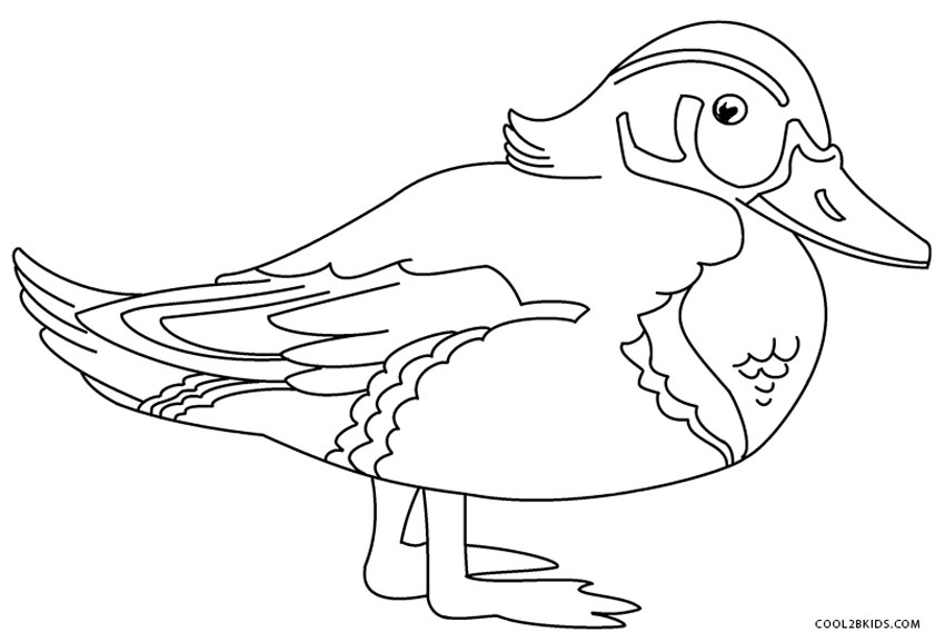 84 Duck Coloring Pages Printable 65