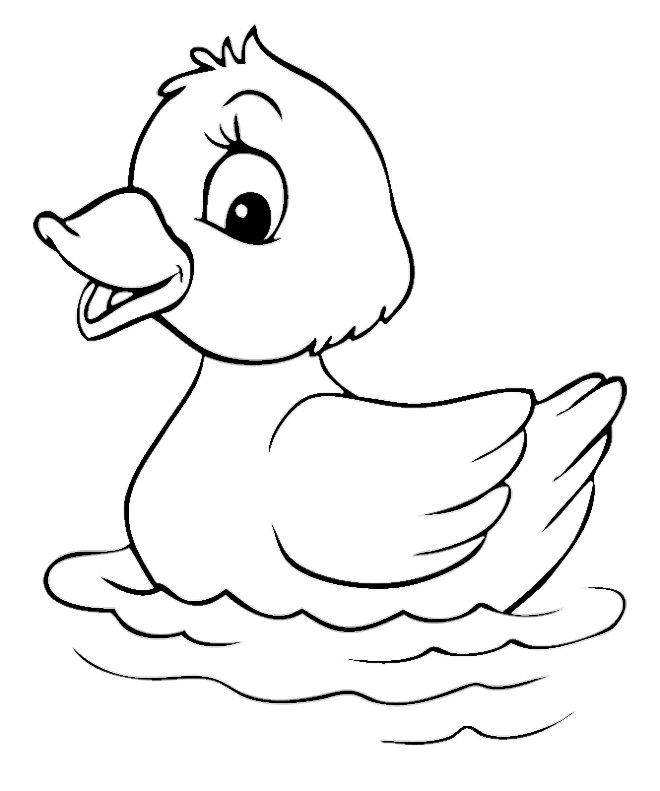 84 Duck Coloring Pages Printable 66