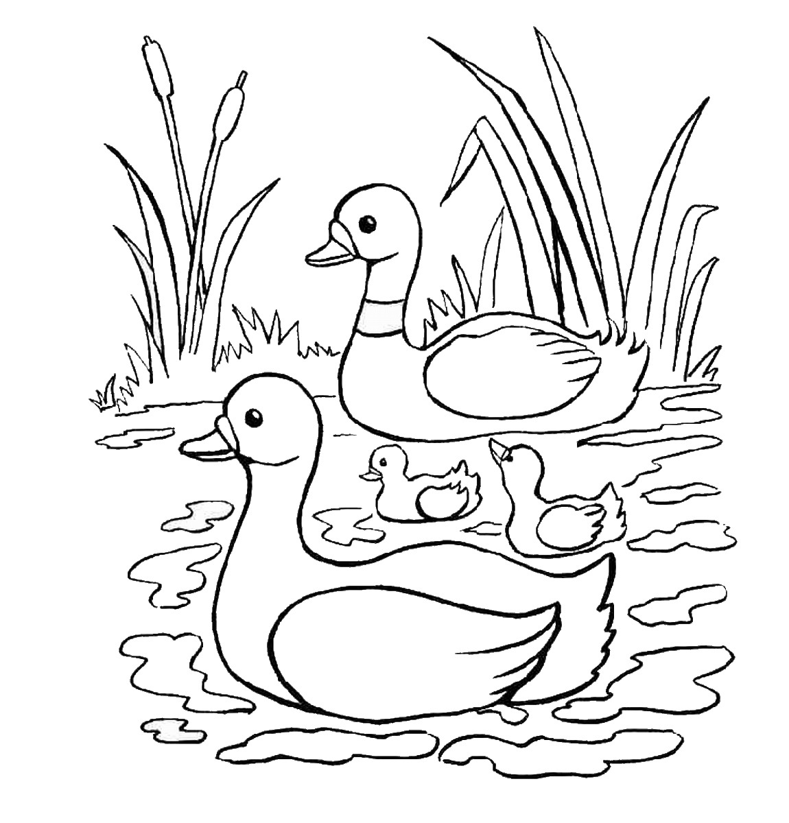 84 Duck Coloring Pages Printable 67