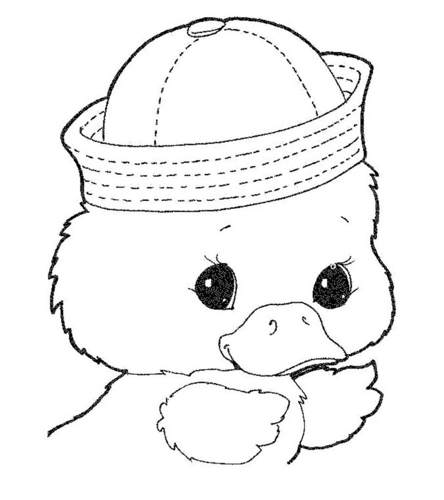 84 Duck Coloring Pages Printable 70