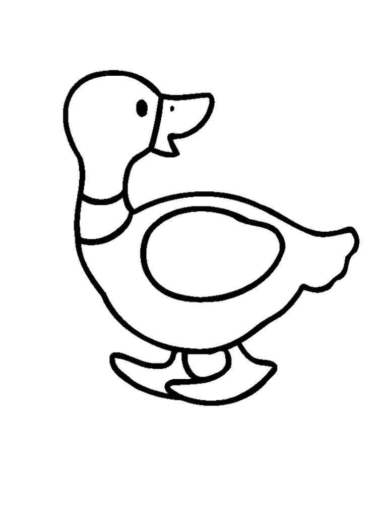 84 Duck Coloring Pages Printable 71