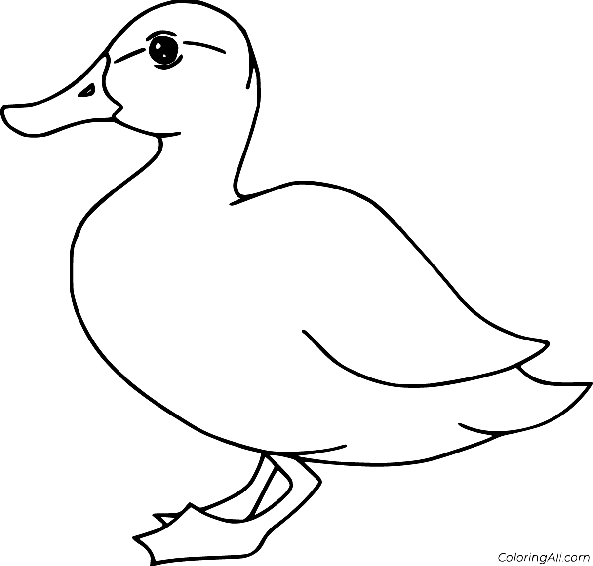 84 Duck Coloring Pages Printable 73