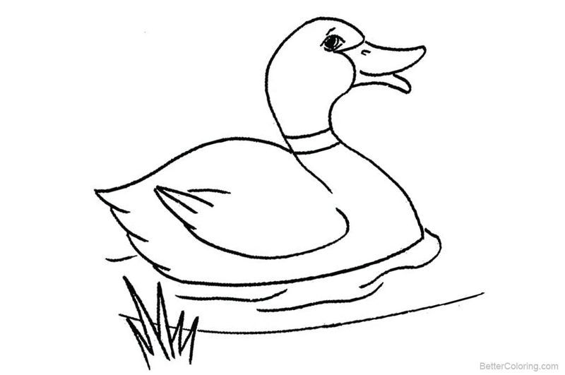 84 Duck Coloring Pages Printable 74