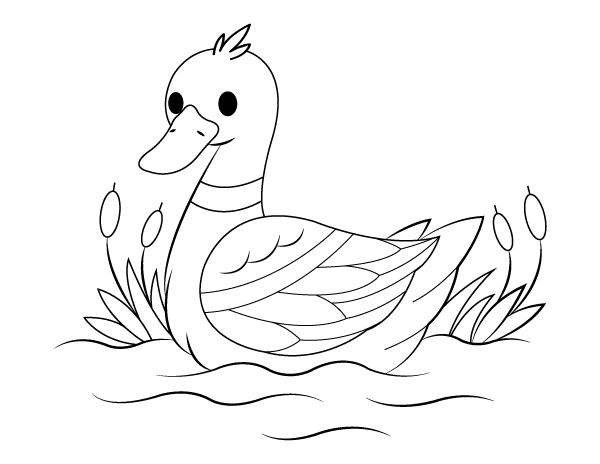 84 Duck Coloring Pages Printable 75