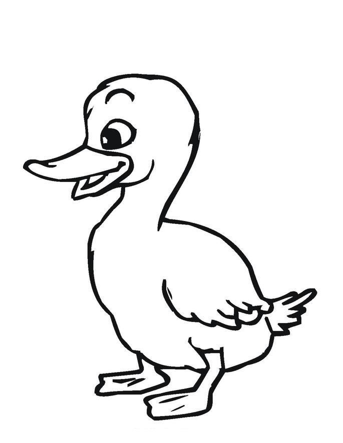 84 Duck Coloring Pages Printable 76