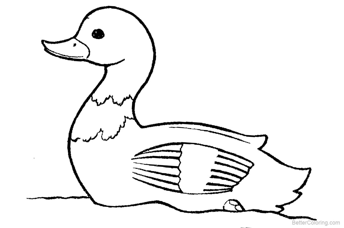 84 Duck Coloring Pages Printable 80