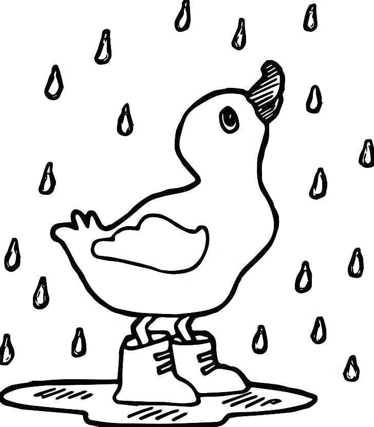 84 Duck Coloring Pages Printable 81