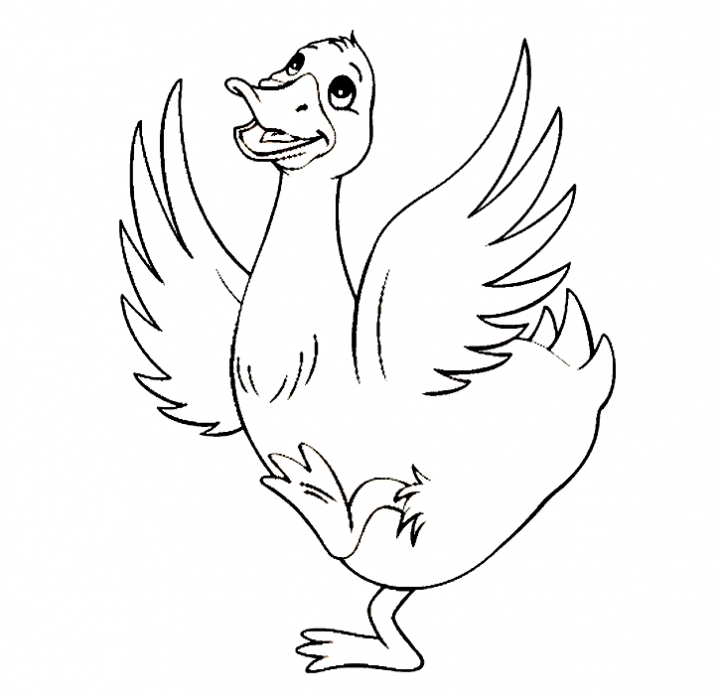 84 Duck Coloring Pages Printable 82