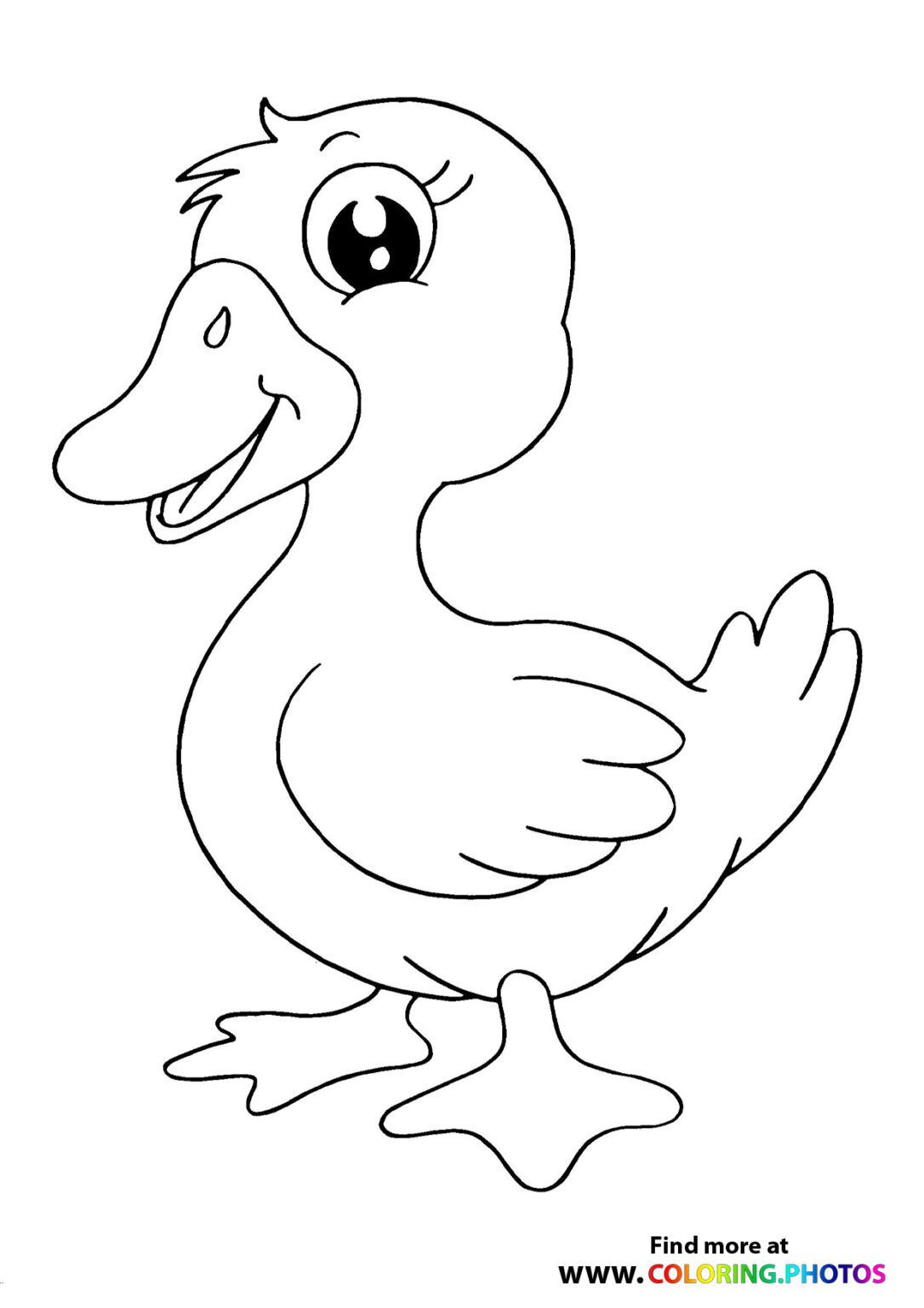 84 Duck Coloring Pages Printable 84