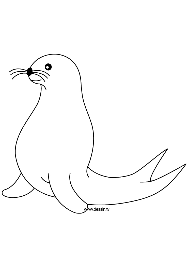 88 Seal Coloring Pages Printable 1