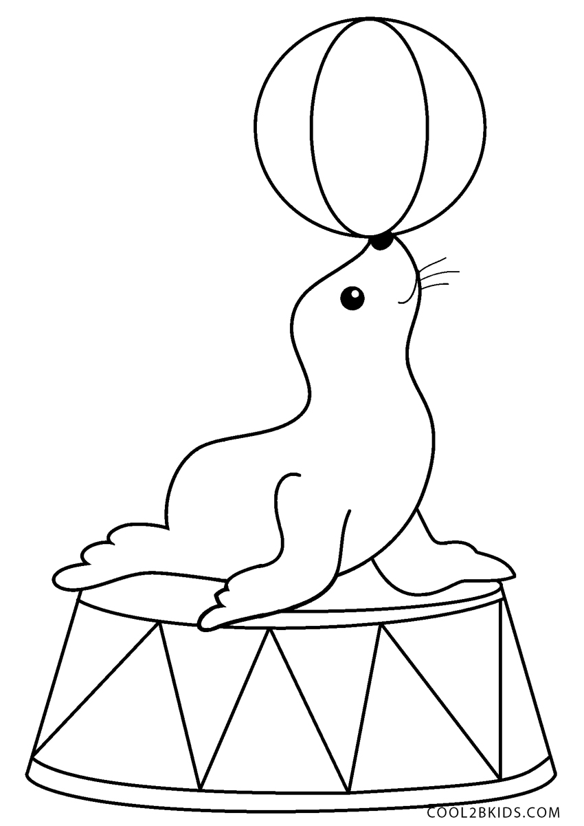 seal coloring pages printable jpg