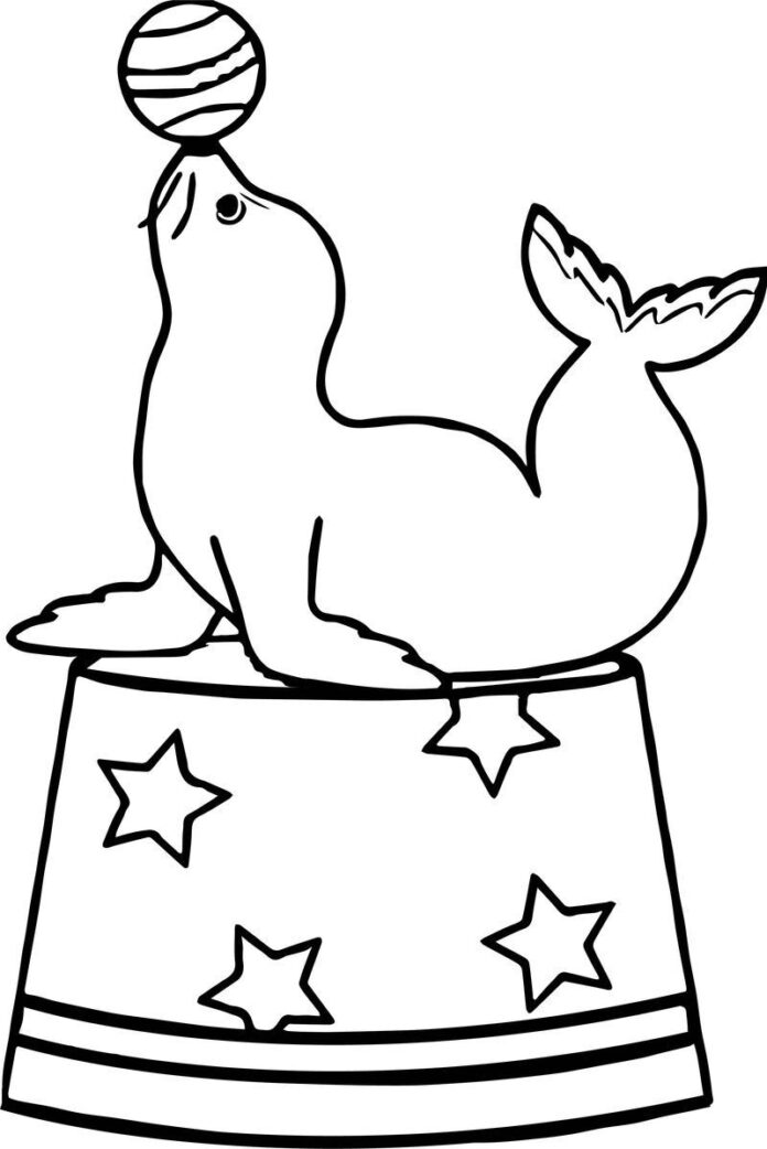 88 Seal Coloring Pages Printable 16