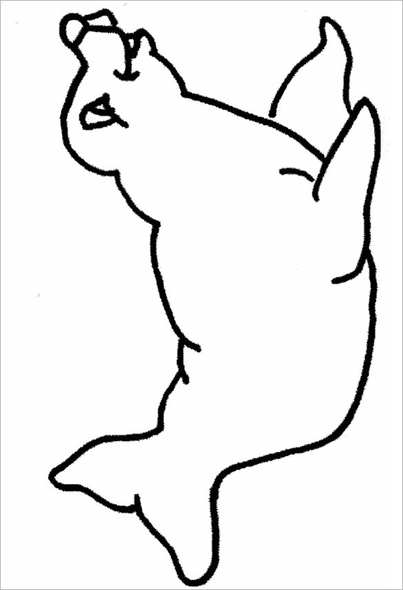 seal coloring pages printable jpg