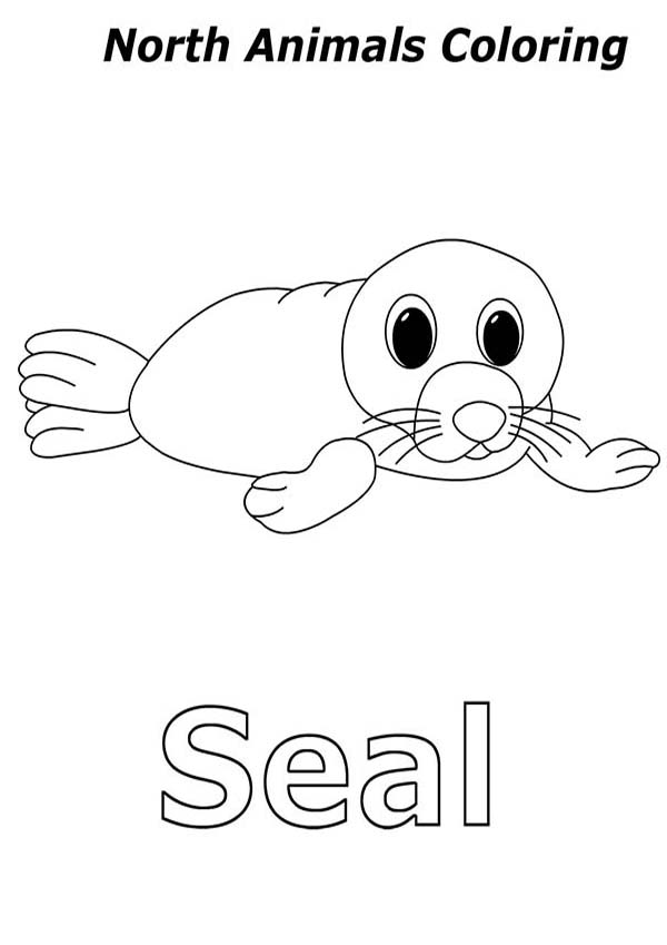 88 Seal Coloring Pages Printable 25