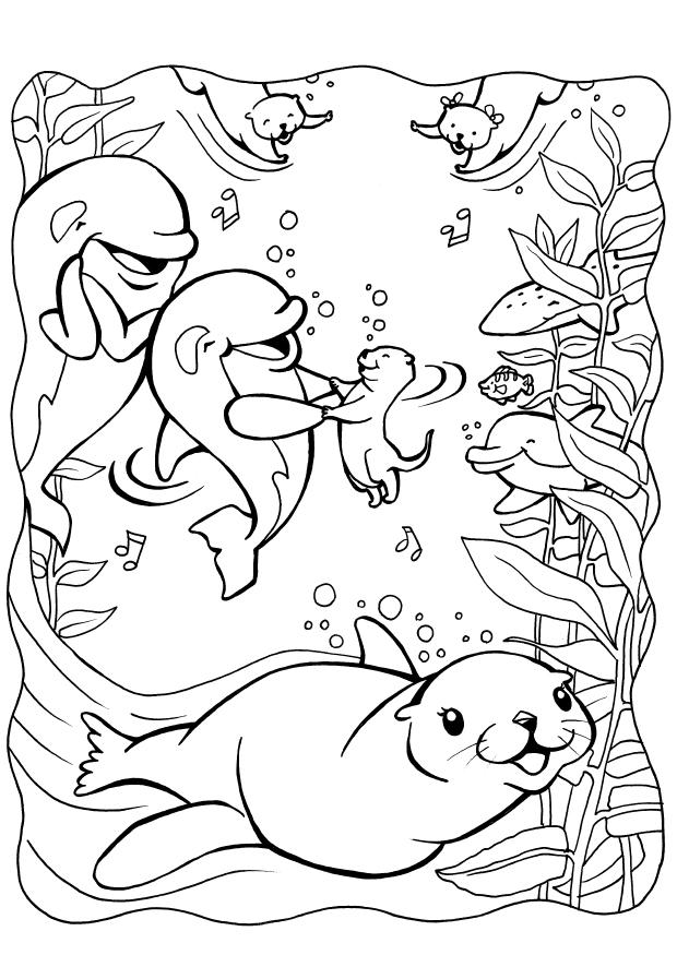 88 Seal Coloring Pages Printable 36