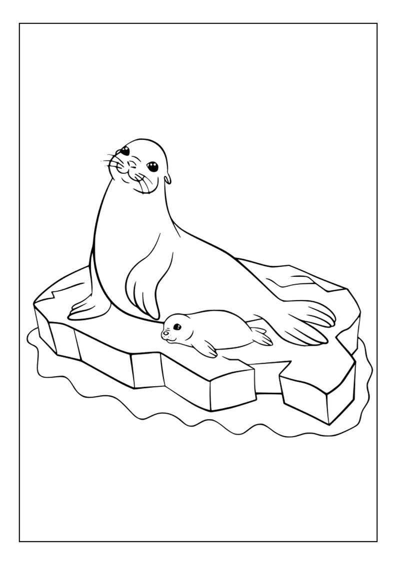 88 Seal Coloring Pages Printable 51