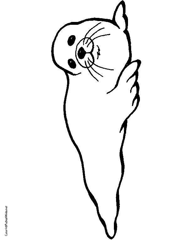 88 Seal Coloring Pages Printable 52