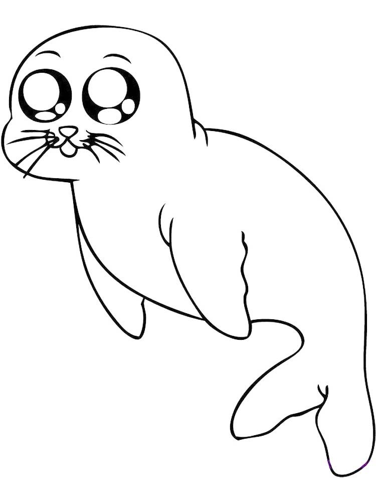 88 Seal Coloring Pages Printable 60