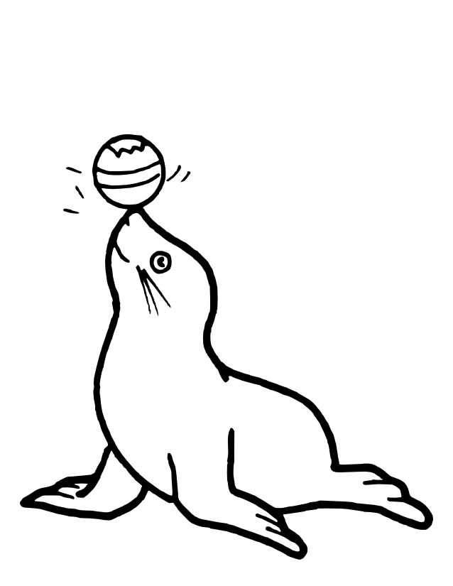 seal coloring pages printable jpg