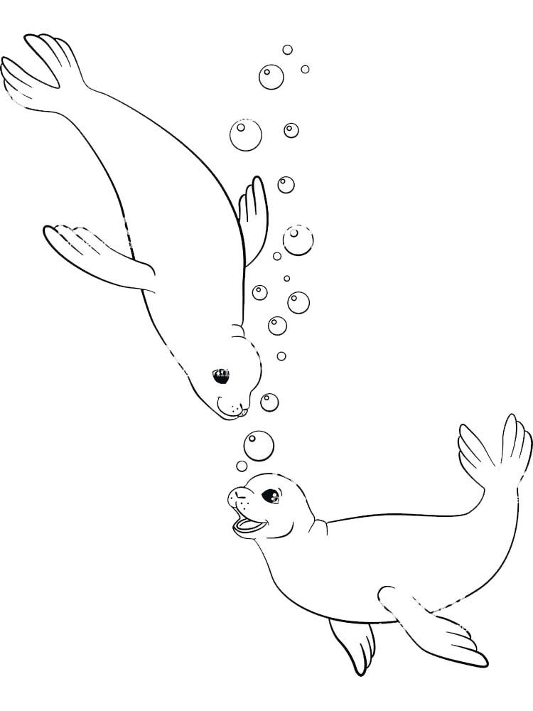 88 Seal Coloring Pages Printable 63