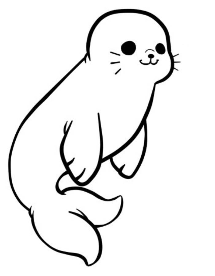 88 Seal Coloring Pages Printable 67