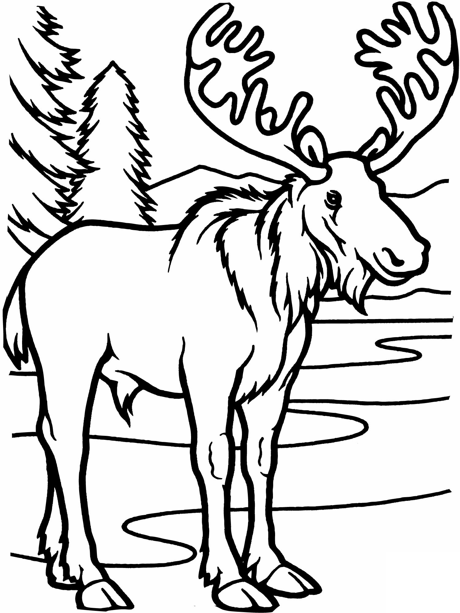 88 Seal Coloring Pages Printable 69