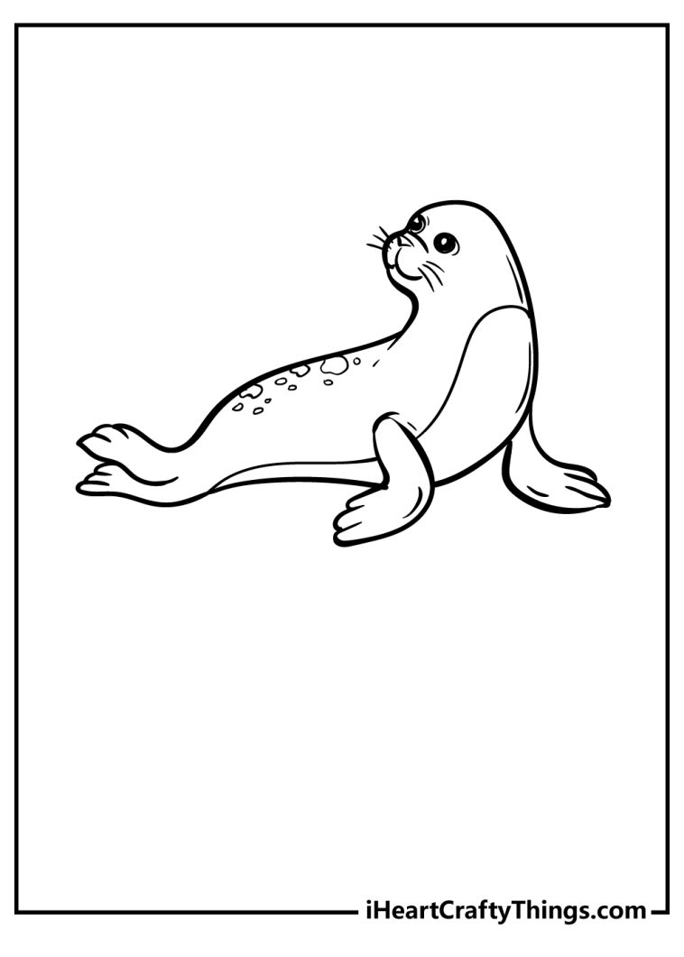 88 Seal Coloring Pages Printable 71