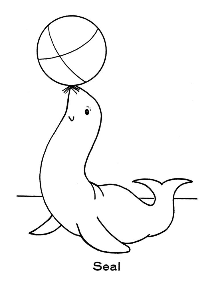 88 Seal Coloring Pages Printable 75